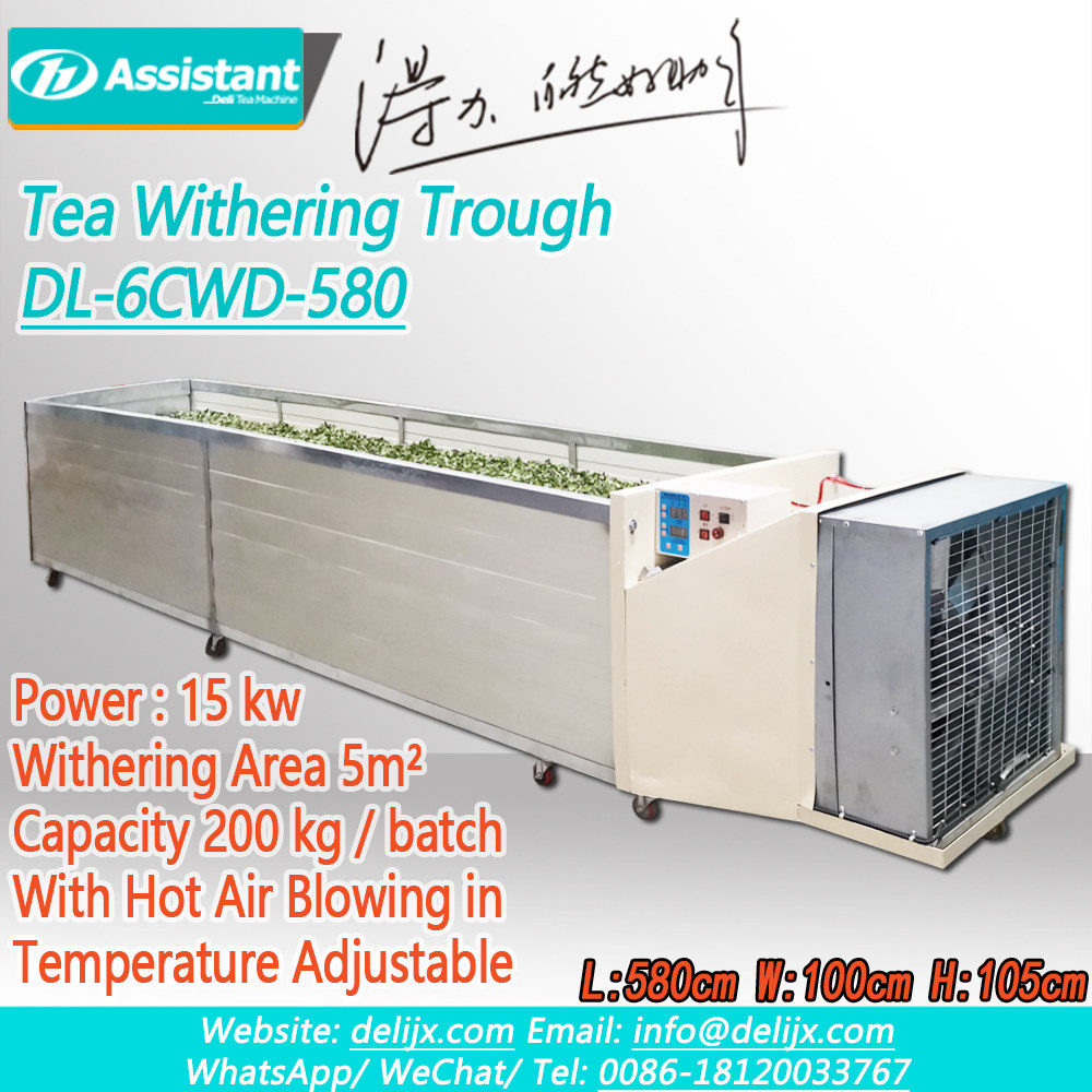 Cina 5 Meters Length Black Tea Withering Processing Machine DL-6CWD-580 pabrikan